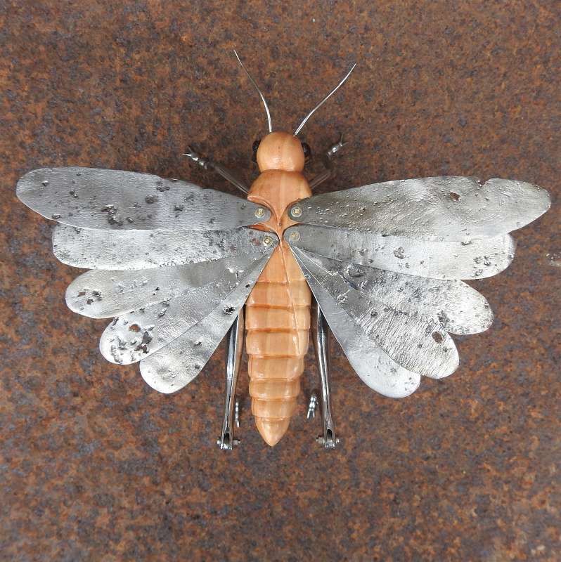 Grasshopper